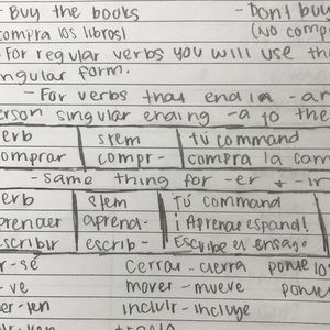 Meet your Posher, Destiny